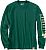 Carhartt Shamrock, t-shirt long sleeve Color: Black/Dark Green Size: L